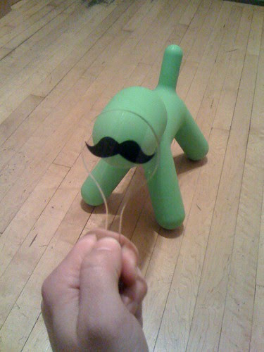 photo.jpg