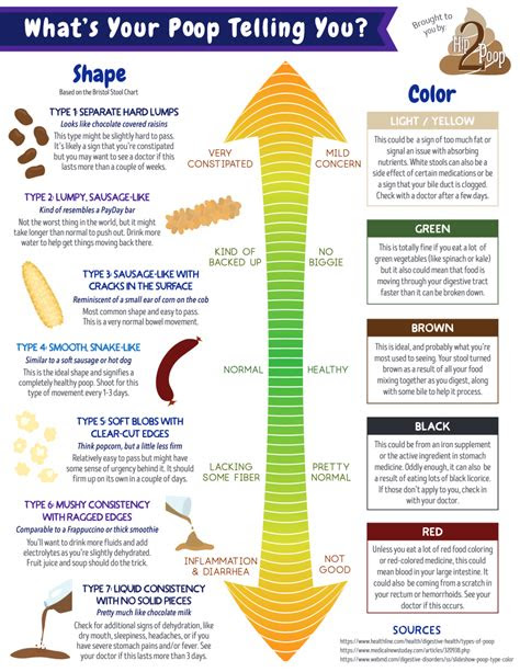 Watery with no solid … poop stool color changes color chart and meaning healthy concept stock