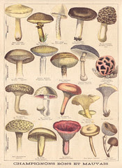 ptitjournal 18octo 96b