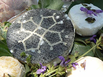 drôle de fromage.jpg