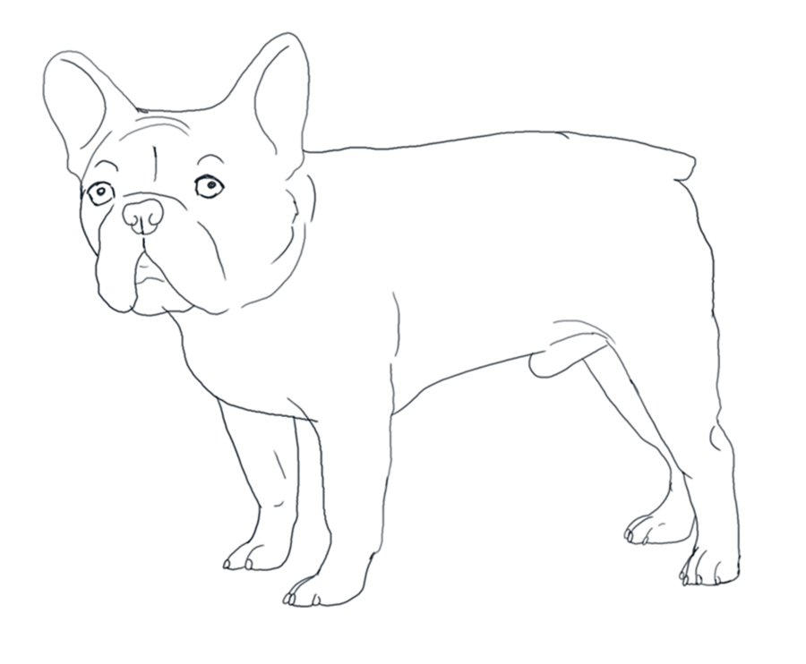 French Bulldog Coloring Pages - Coloring Home