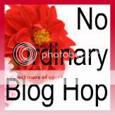No Ordinary Blog Hop