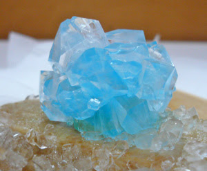 銀河通信社 湖水晶育成キット Welcome To Taco Che ようこそタコシェへ