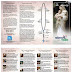 How To Pray The Rosary Pdf Booklet