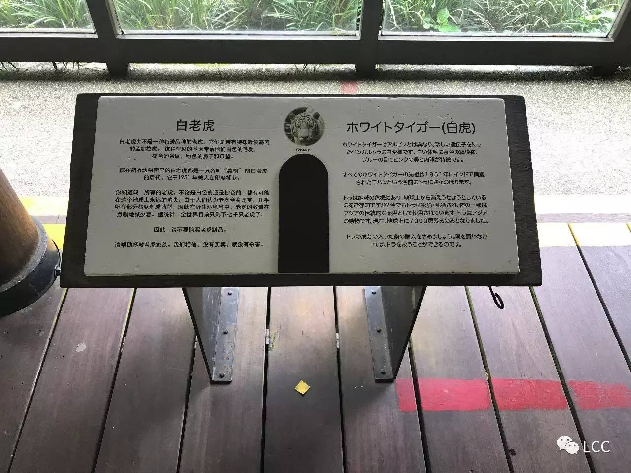 新加坡动物园导视篇