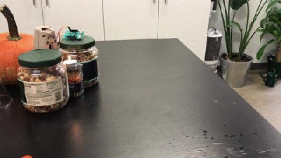 flame-test