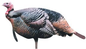 Renzo's Jake Turkey Decoy