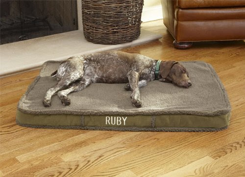 Orvis Tempur-pedic Dream Lounger Dog Bed / Medium Dogs 40-70 Lbs., Fleece Sage
