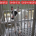 CIMG9552.JPG