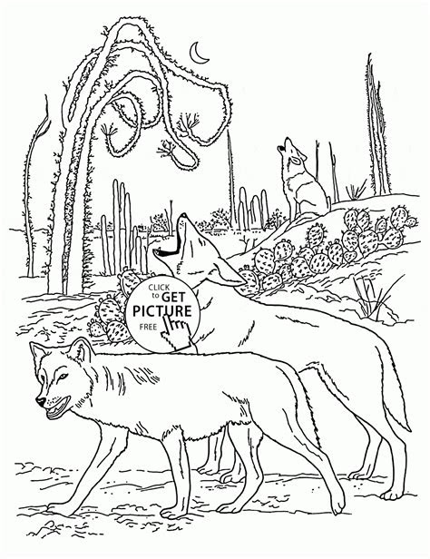Wild animal coloring pages are a wonderful way for your children to learn about the world. free printable wild animal coloring pages free printable