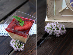 Panna Cotta with Plum Sauce