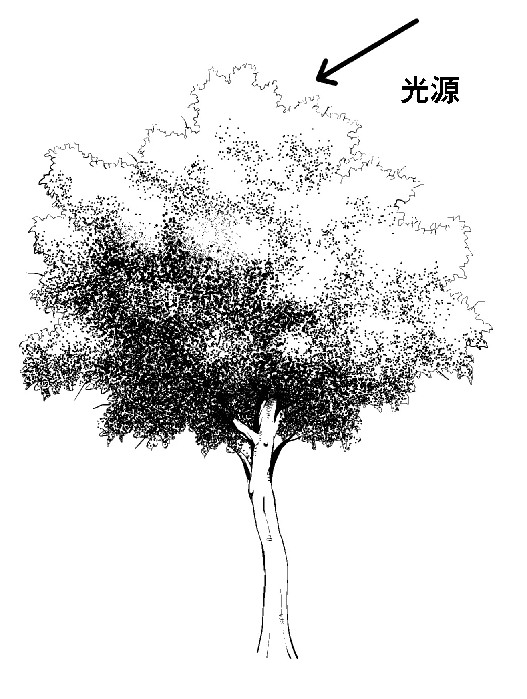 漫画背景テクニック アナログ編 木 の描き方 Oyukihan S Blog 漫 パワー充電所