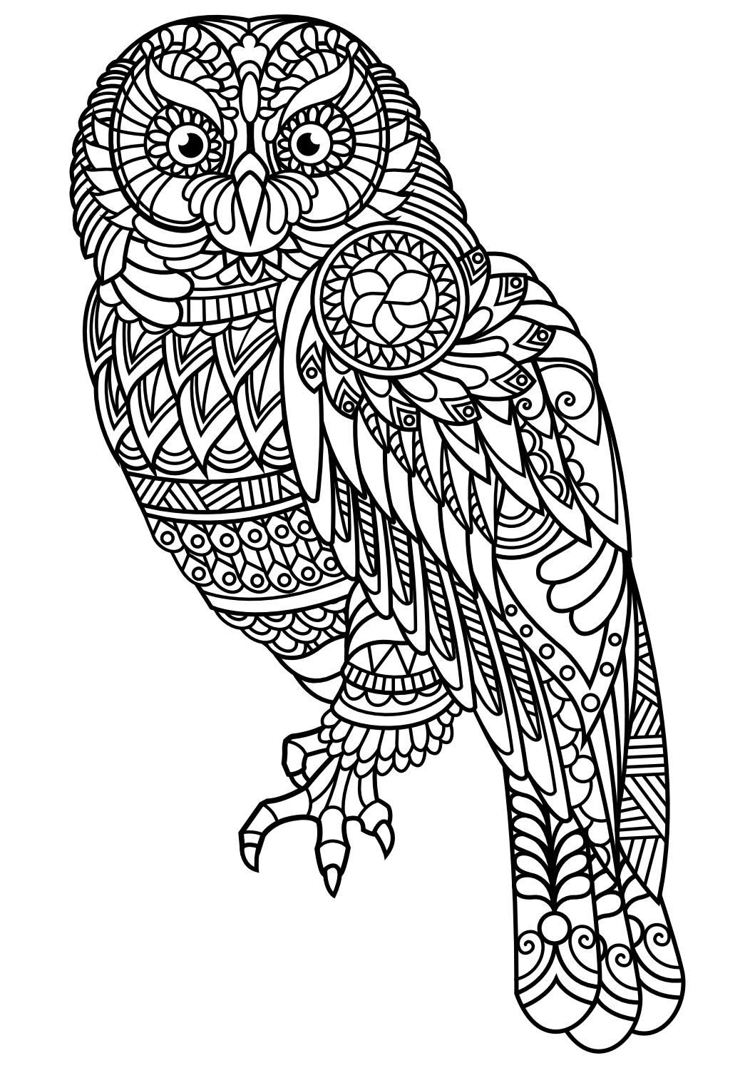 Coloring Pages For Adults Pdf