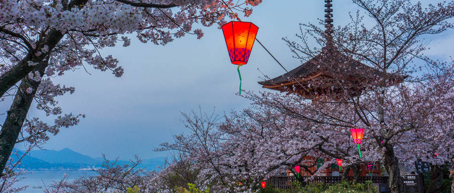 日本鹿儿岛旅游 大自然的神奇在这里尽情体现 假期出行就到这儿 樱花