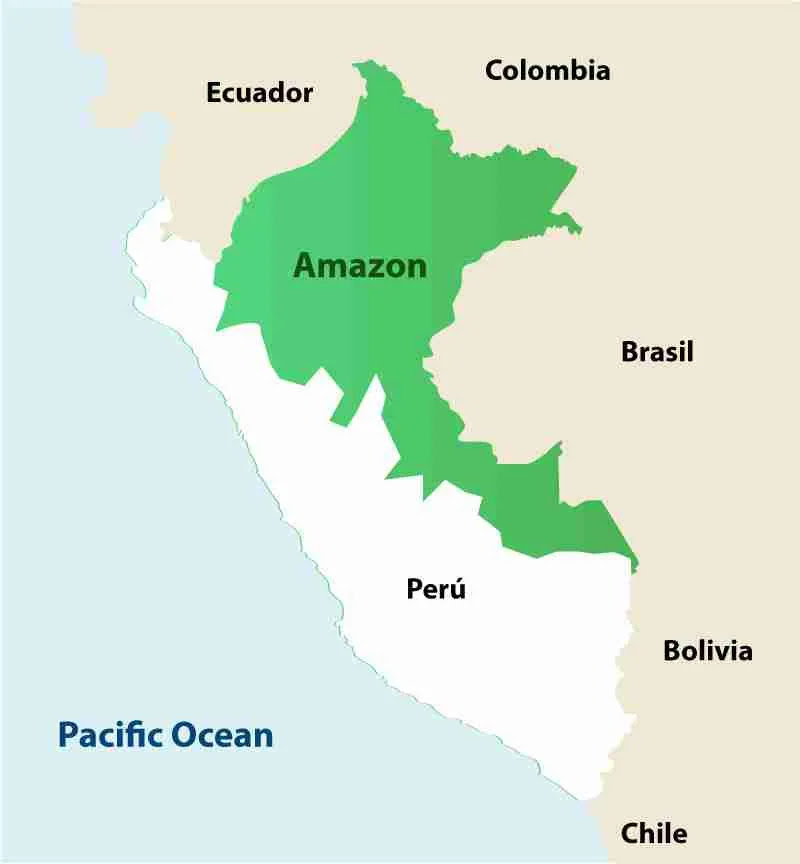 Amazon Rainforest Map Peru Explorer