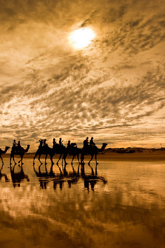 camel ride