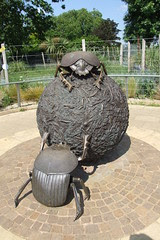 London Zoo #31