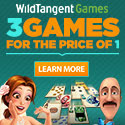 Play over 1,500 games at WildTangent.com!