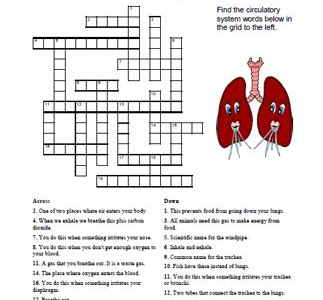 Reading Pdf respiratory system bogglesworldesl answer ManyBooks PDF