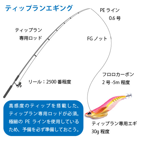 大型アオリイカ続出 ティップランエギングとは