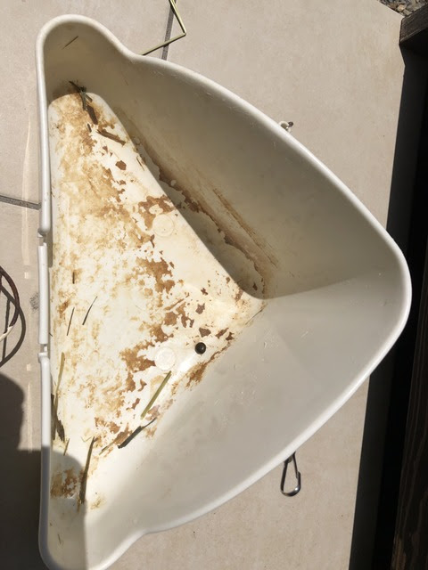 サンポールは ウサギのトイレにすごく効果がありました ウサコッツ飼育日記