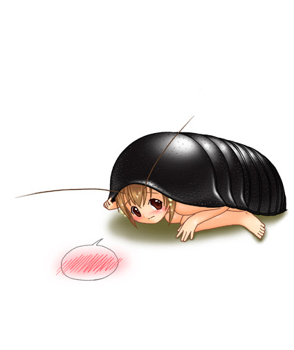 ヒメマルg Wildっ娘nest