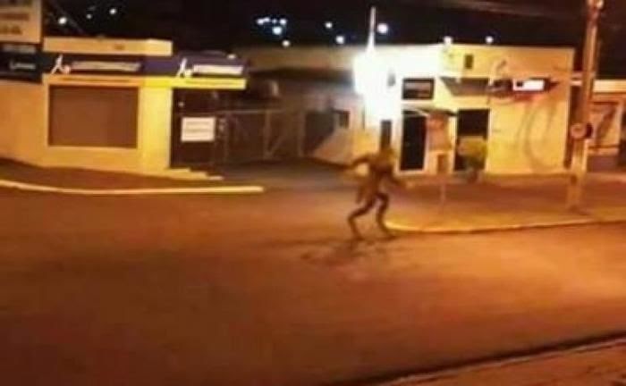 Criatura estranha assusta moradores de Ceilândia (DF)