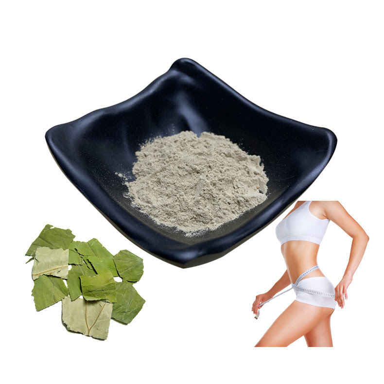 Powdered Lotus Leaf Extract Nuciferine 10 50 98 For