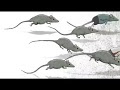[Imprimable] image de rat 276715-Image de ratatouille