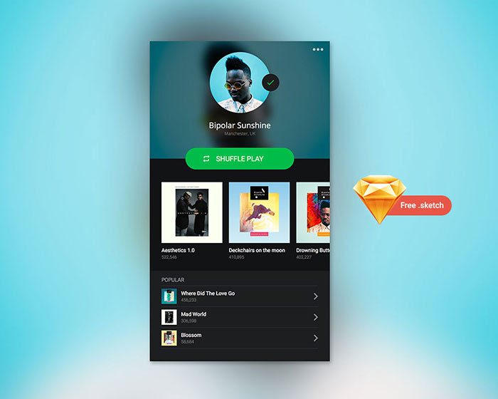 Spotify Profile