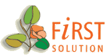 First Solution Money Transfer