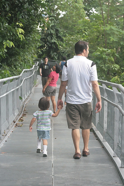 Tree-tops walk