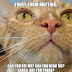 Zoom Meeting Meme : 20 Relatable Zoom Meetings Memes | SayingImages.com - Here's your new zoom background.