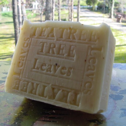 Handcrafted Australian Tea Tree with Cocoa Butter and Tree Leaves Face and Body Soap