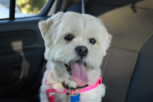 Pretty Smily