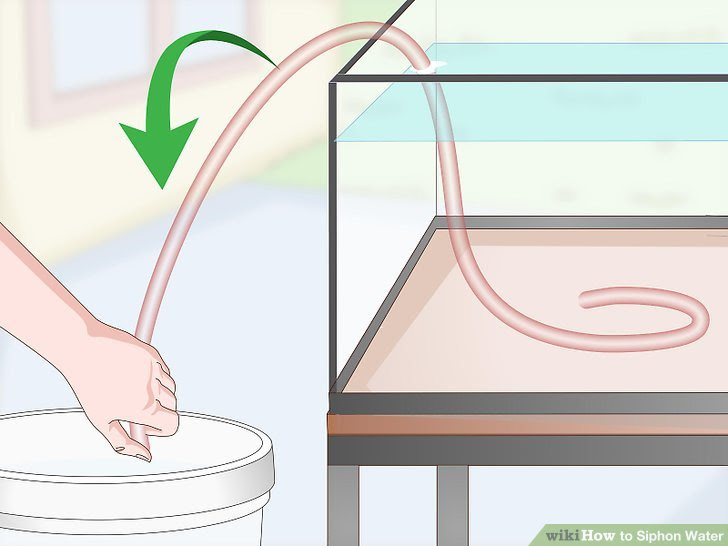 Siphon Water Step 7 Version 2.jpg