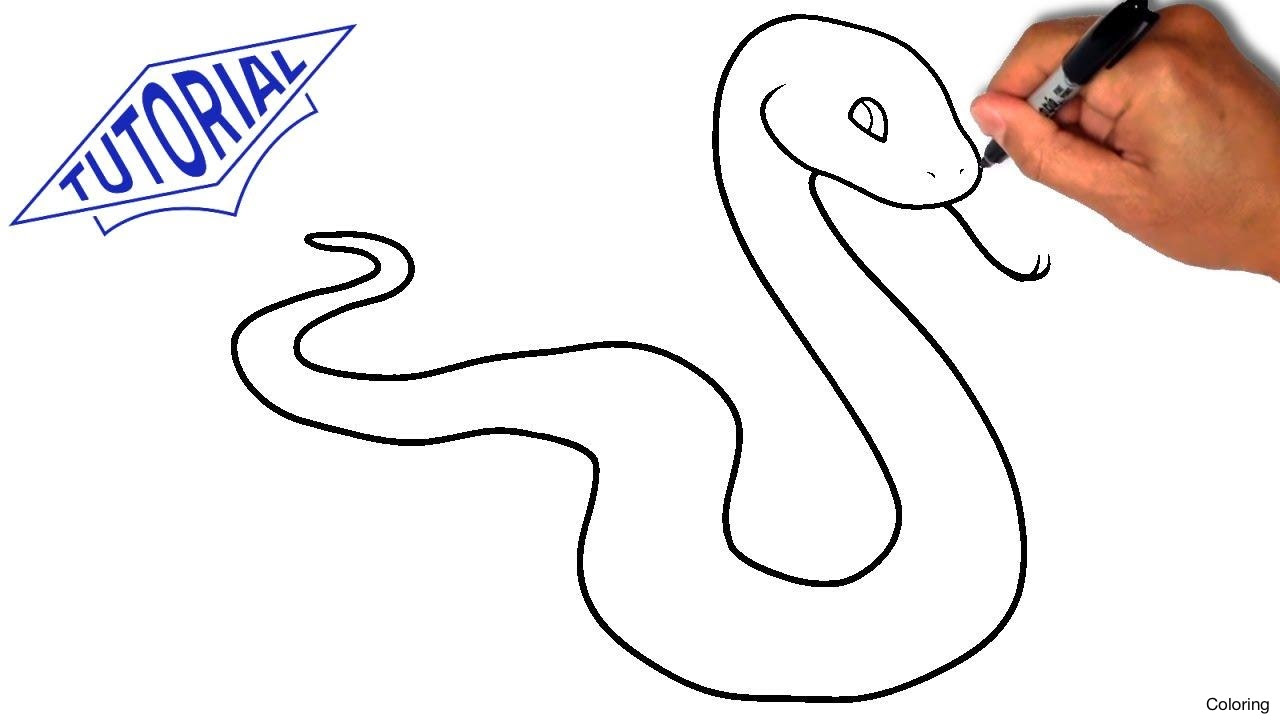How To Draw A Rattlesnake