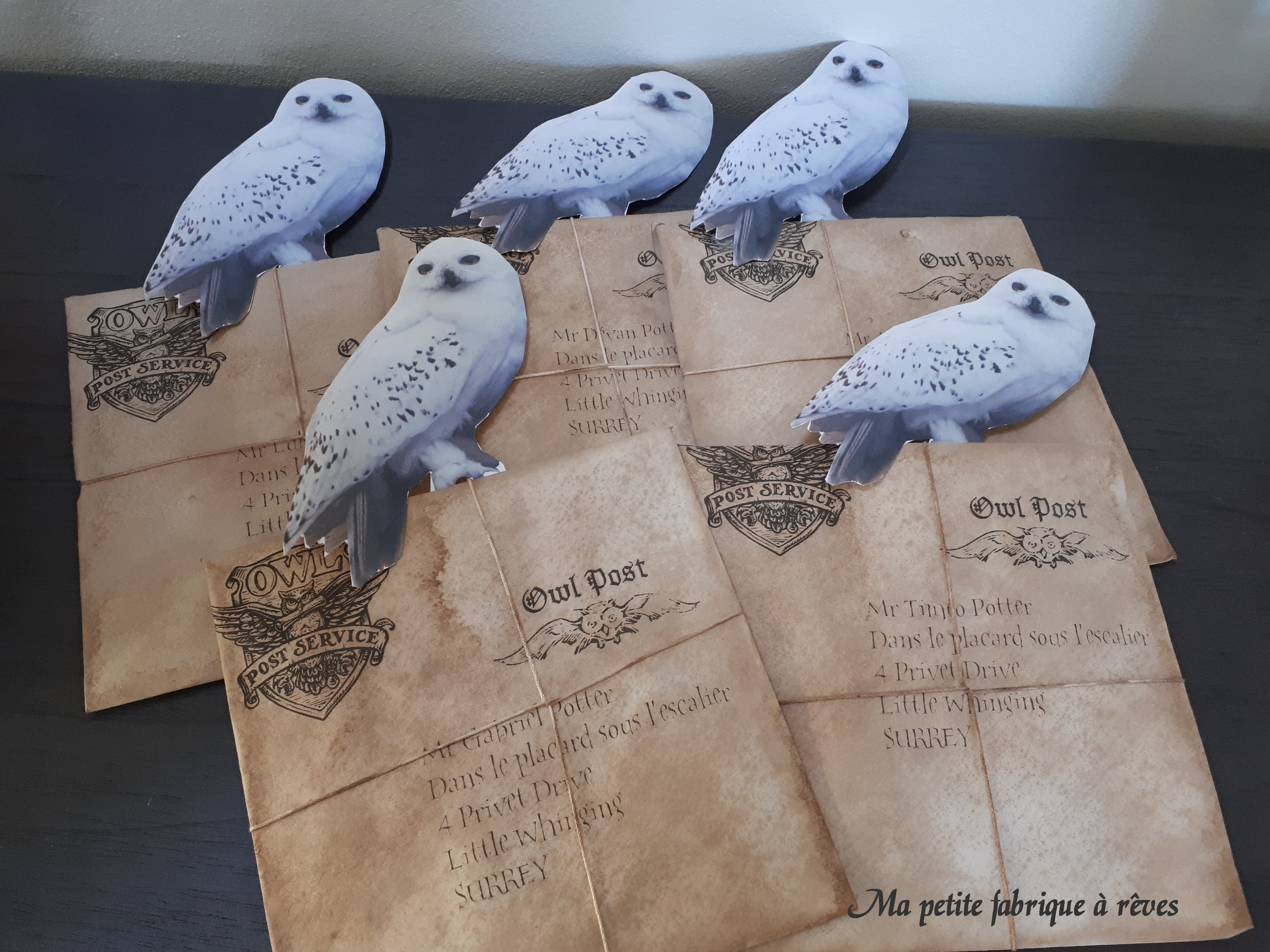 Organiser Un Anniversaire Harry Potter Les Preparatifs Ma Petite Fabrique A Reves