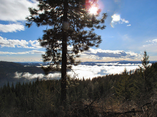 High rise low mist