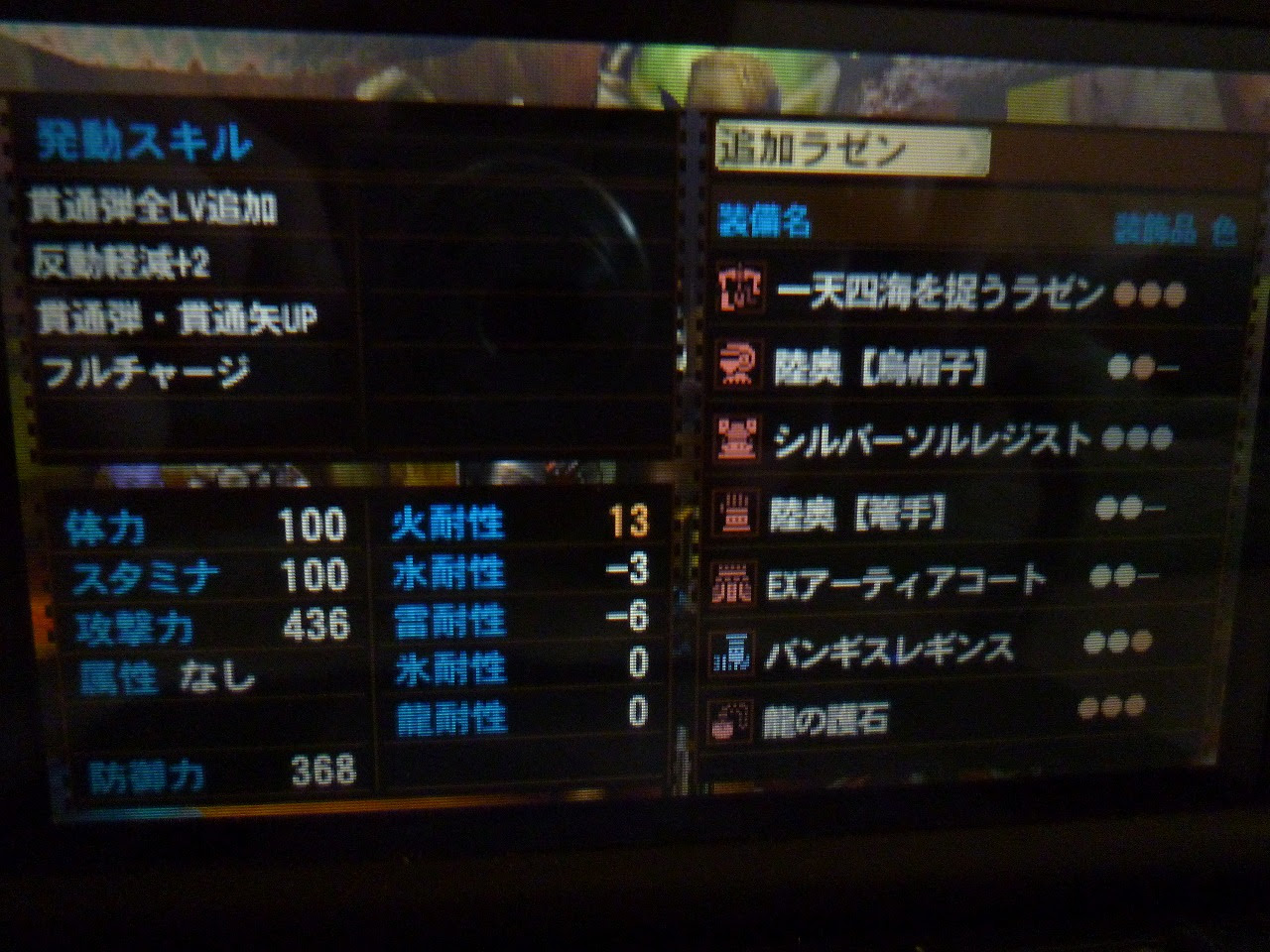 ねこぽん W Mh4ヘビィ装備