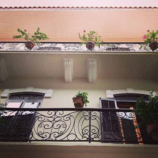 Looking up. #casco #pty #panamá #byebyepanama