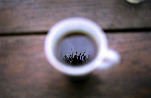 Coffee