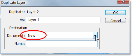 The Duplicate Layer dialog box in Photoshop.