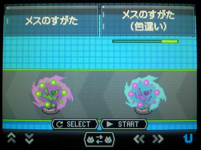 B色違いミカルゲ お馬さんの足音