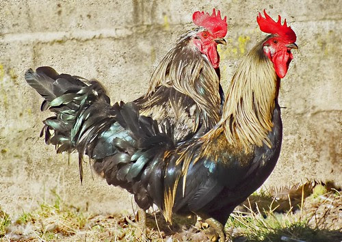 Valdepiélago