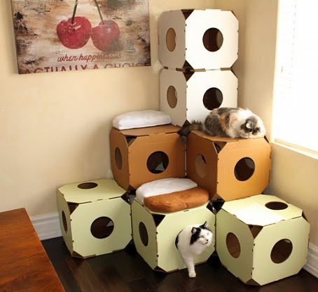 Aristide Le Blog Du Felin Urbain Comment Les Chats Ont Relance L Industrie Du Carton