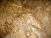 DSCF2861
