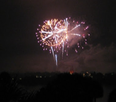 walt disney world castle fireworks. day at Walt Disney World.
