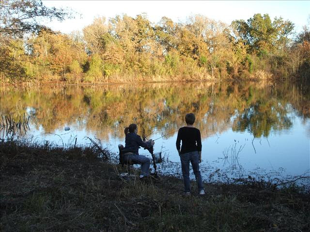 Pond in November