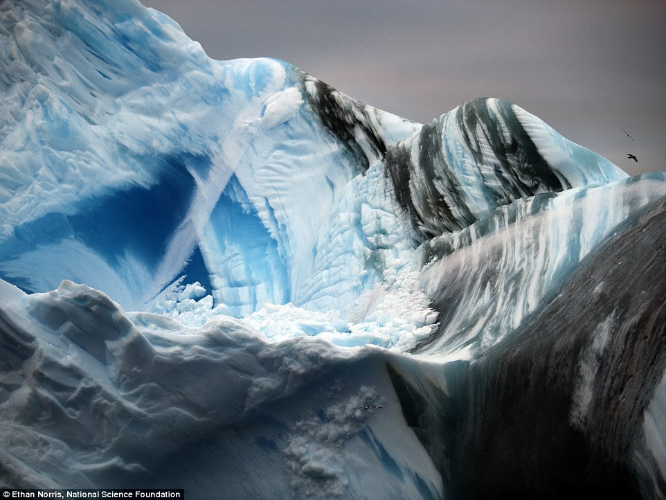 Salt water is much denser than fresh water, causing icebergs to float. As they melt in the ocean, their weight distribution can change, causing some icebergs to flip over completely.